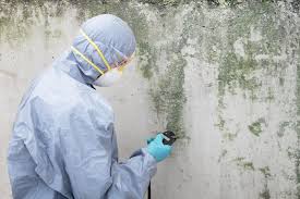 Janesville, WI Mold Removal Services Company